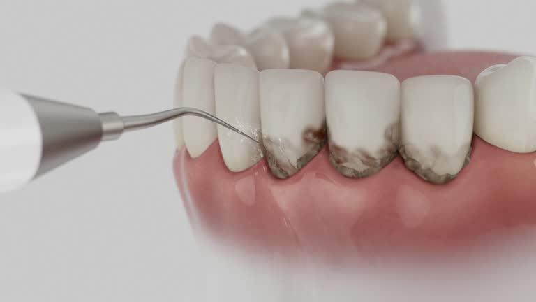 Reliable Dental contractor in Matoaca, VA by Dentist Open Now